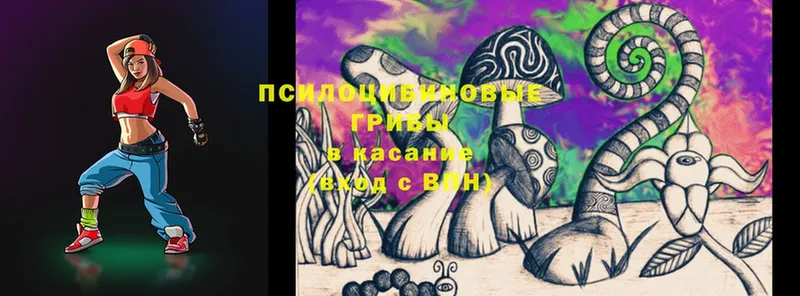 omg ССЫЛКА  Нерчинск  Псилоцибиновые грибы Cubensis 